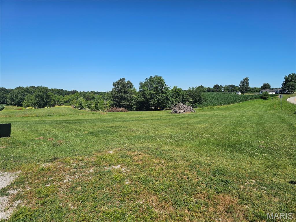 4511 Chester Road Chester, IL 62233 - Photo 7 of 7