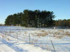 2245 North Quince Road Walkerton, IN 46574 - Photo 1 of 1