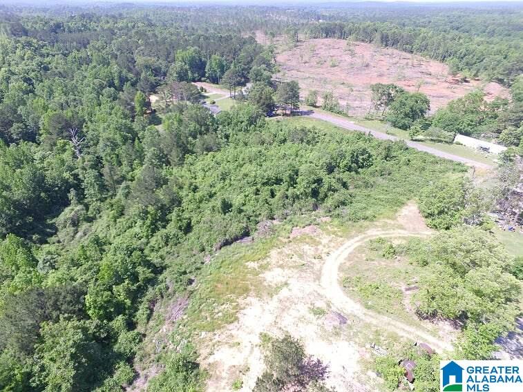 Kymulga Road, Unit 51 Childersburg, AL 35044 - Photo 3 of 4