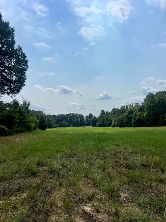 a view of field with grass and trees