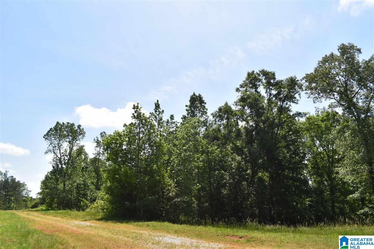 Lot 41 County Road 264, Unit RIVER BREEZE ESTATES Wedowee, AL 36278 - Photo 11 of 16