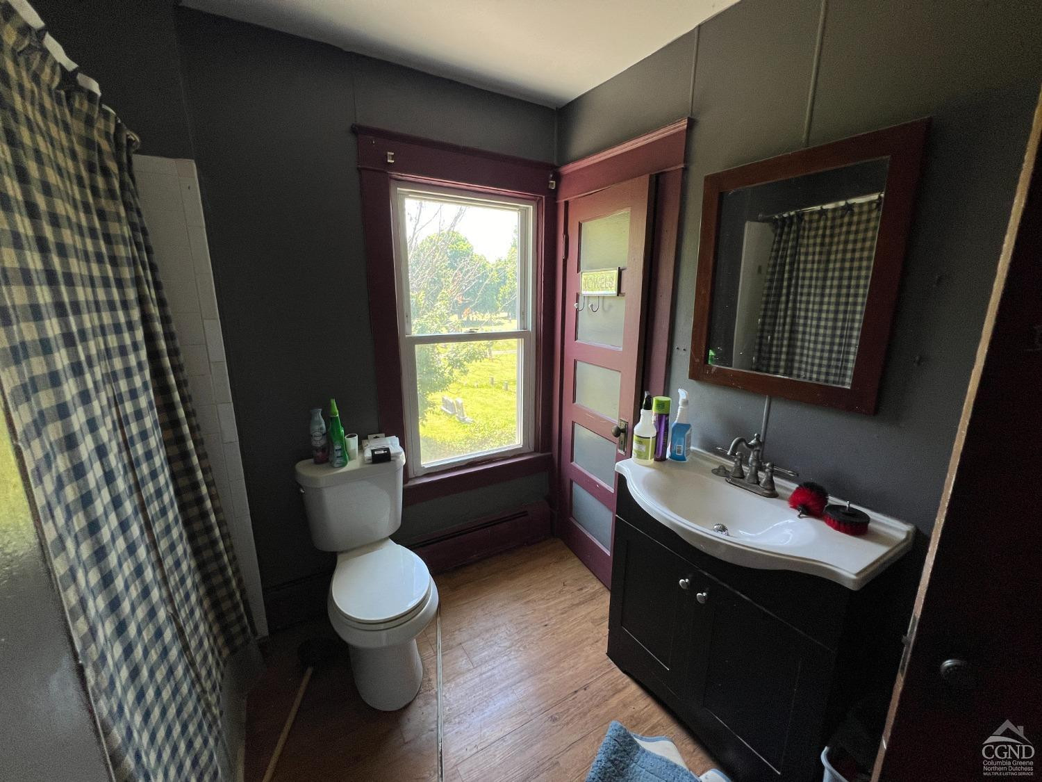 163 Spring Street Catskill, NY 12414 - Photo 25 of 36 a bathroom with a toilet sink and mirror