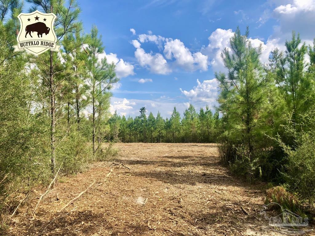 Lot 15-bs Buffalo Ridge Road Milton, FL 32571 - Photo 1 of 9