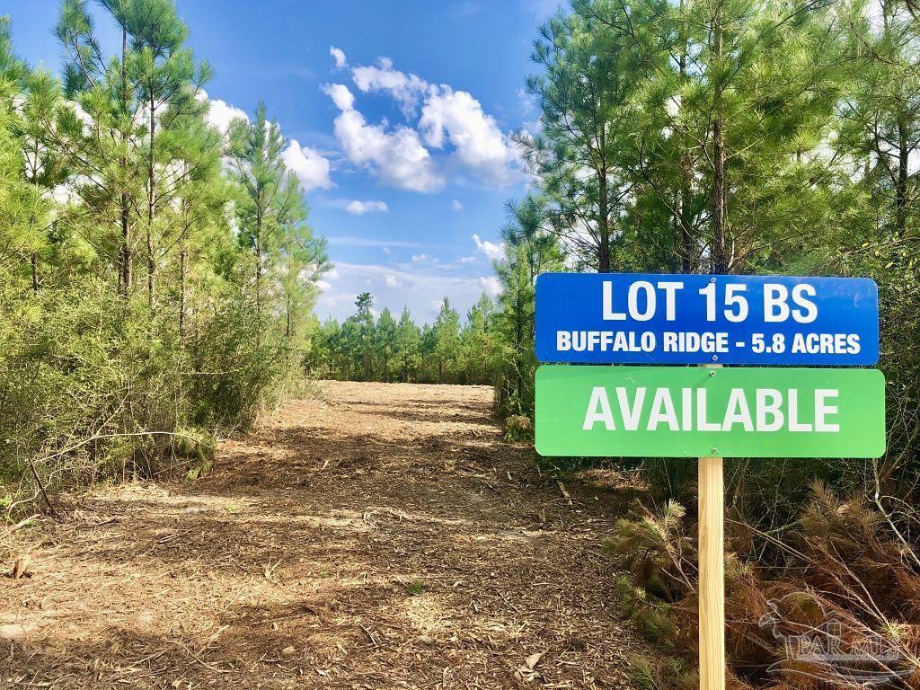 Lot 15-bs Buffalo Ridge Road Milton, FL 32571 - Photo 2 of 9