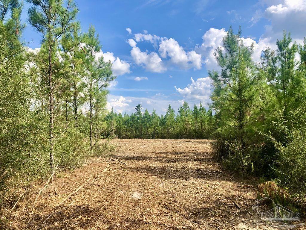Lot 15-bs Buffalo Ridge Road Milton, FL 32571 - Photo 4 of 9