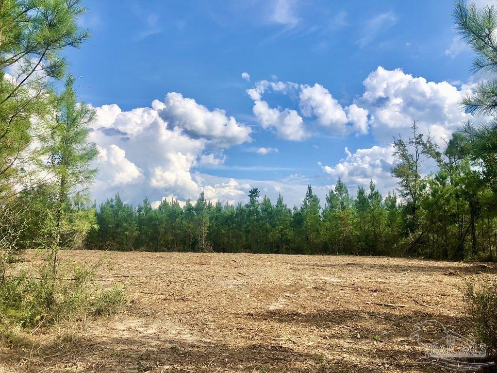 Lot 15-bs Buffalo Ridge Road Milton, FL 32571 - Photo 5 of 9