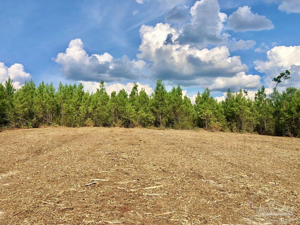 Lot 15-bs Buffalo Ridge Road Milton, FL 32571 - Photo 6 of 9