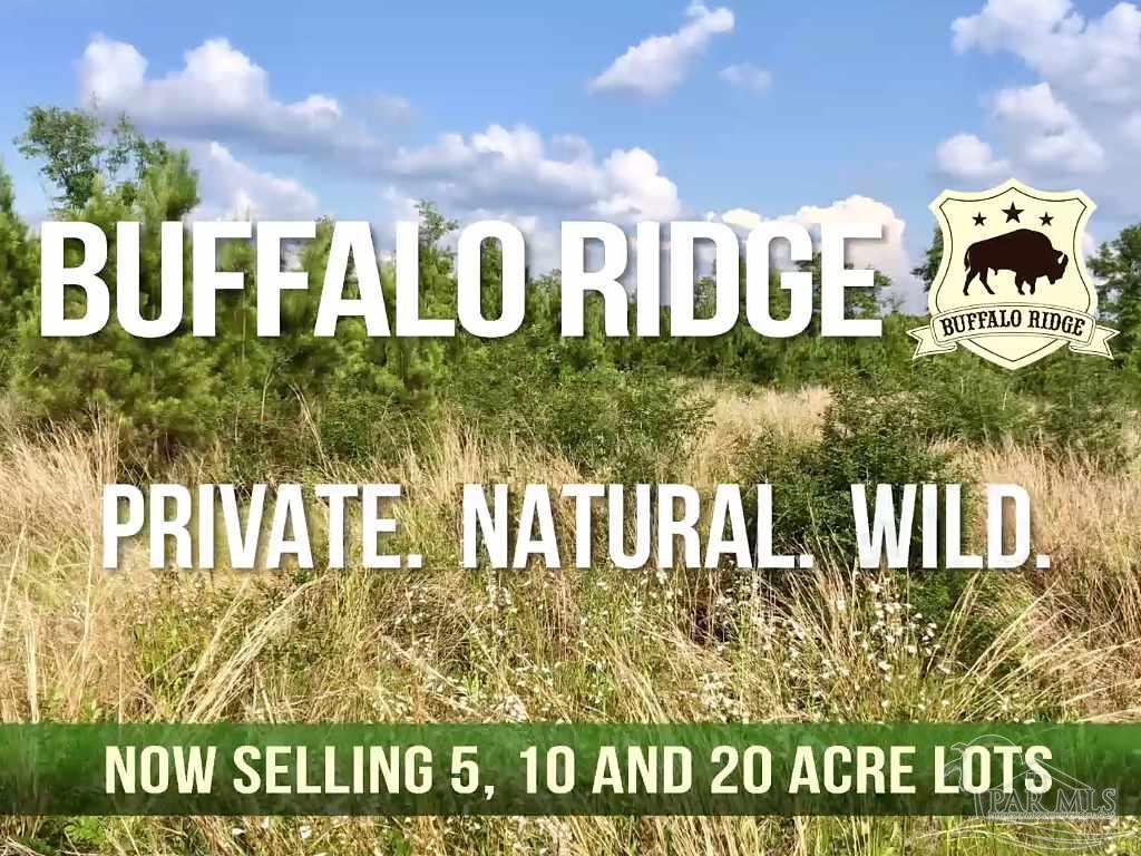 Lot 15-bs Buffalo Ridge Road Milton, FL 32571 - Photo 7 of 9