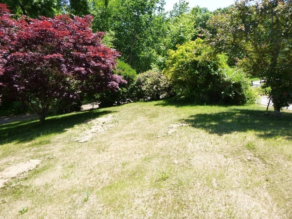 19 Butler Road Mendon, MA 01756 - Photo 40 of 41 Gallery Image 40