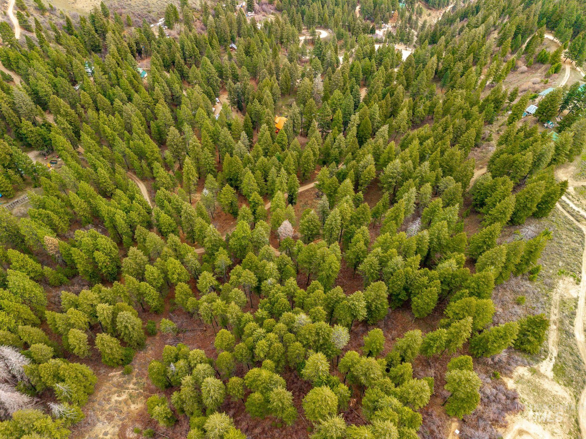 Tbd Bumble Bee Road Boise, ID 83716 - Photo 13 of 17