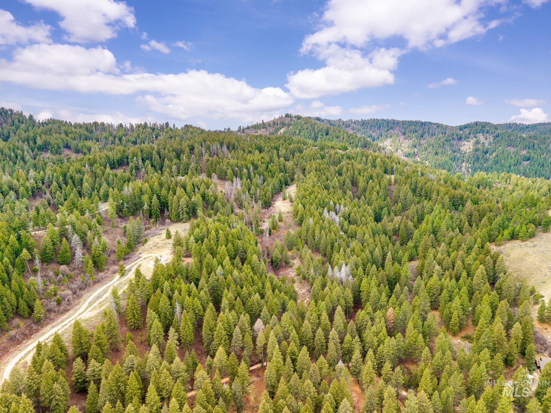 Tbd Bumble Bee Road Boise, ID 83716 - Photo 16 of 17