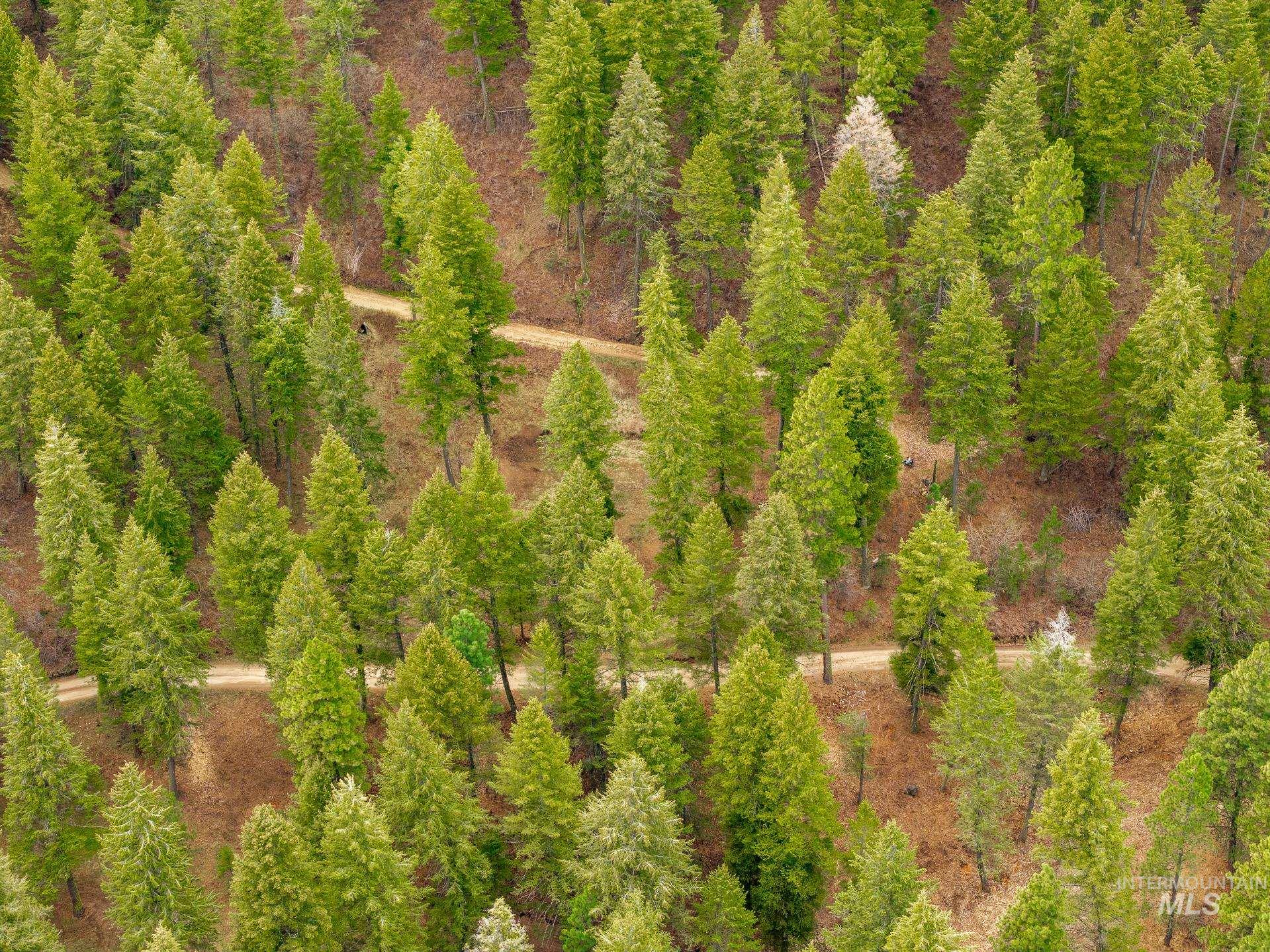 Tbd Bumble Bee Road Boise, ID 83716 - Photo 2 of 17