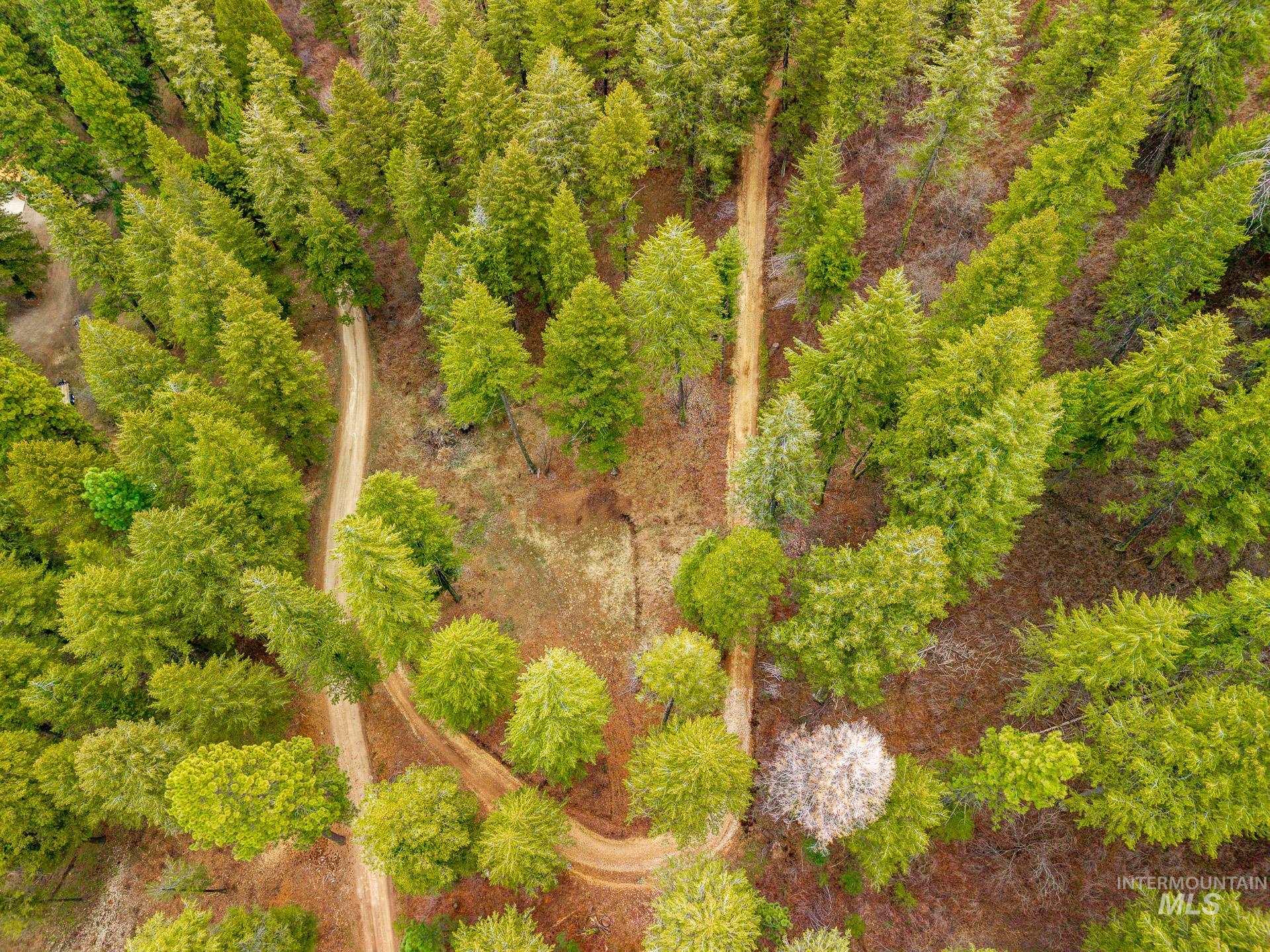 Tbd Bumble Bee Road Boise, ID 83716 - Photo 4 of 17