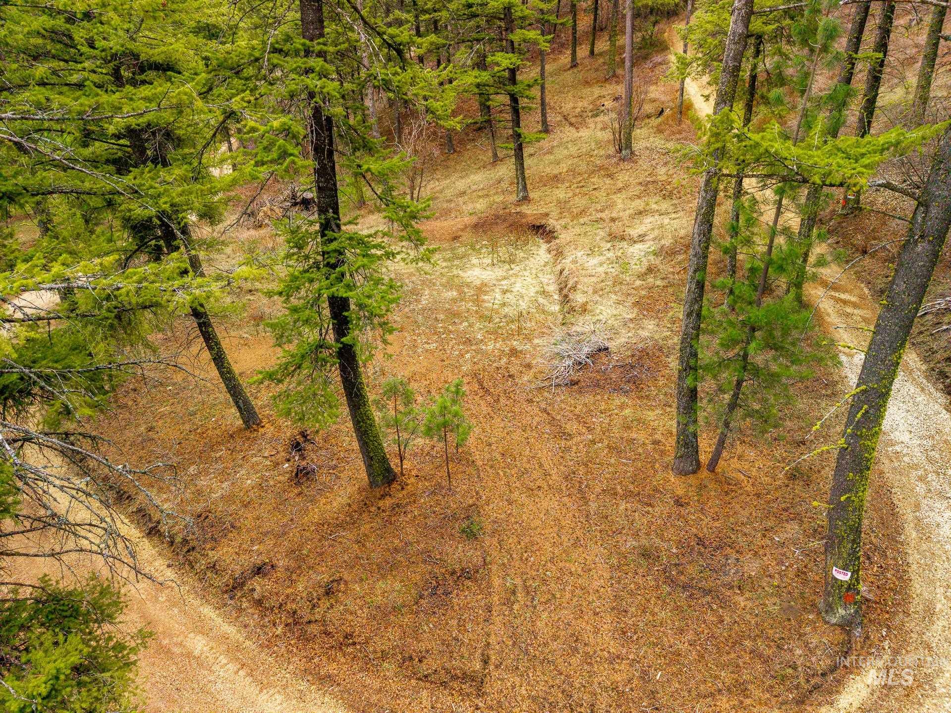 Tbd Bumble Bee Road Boise, ID 83716 - Photo 5 of 17