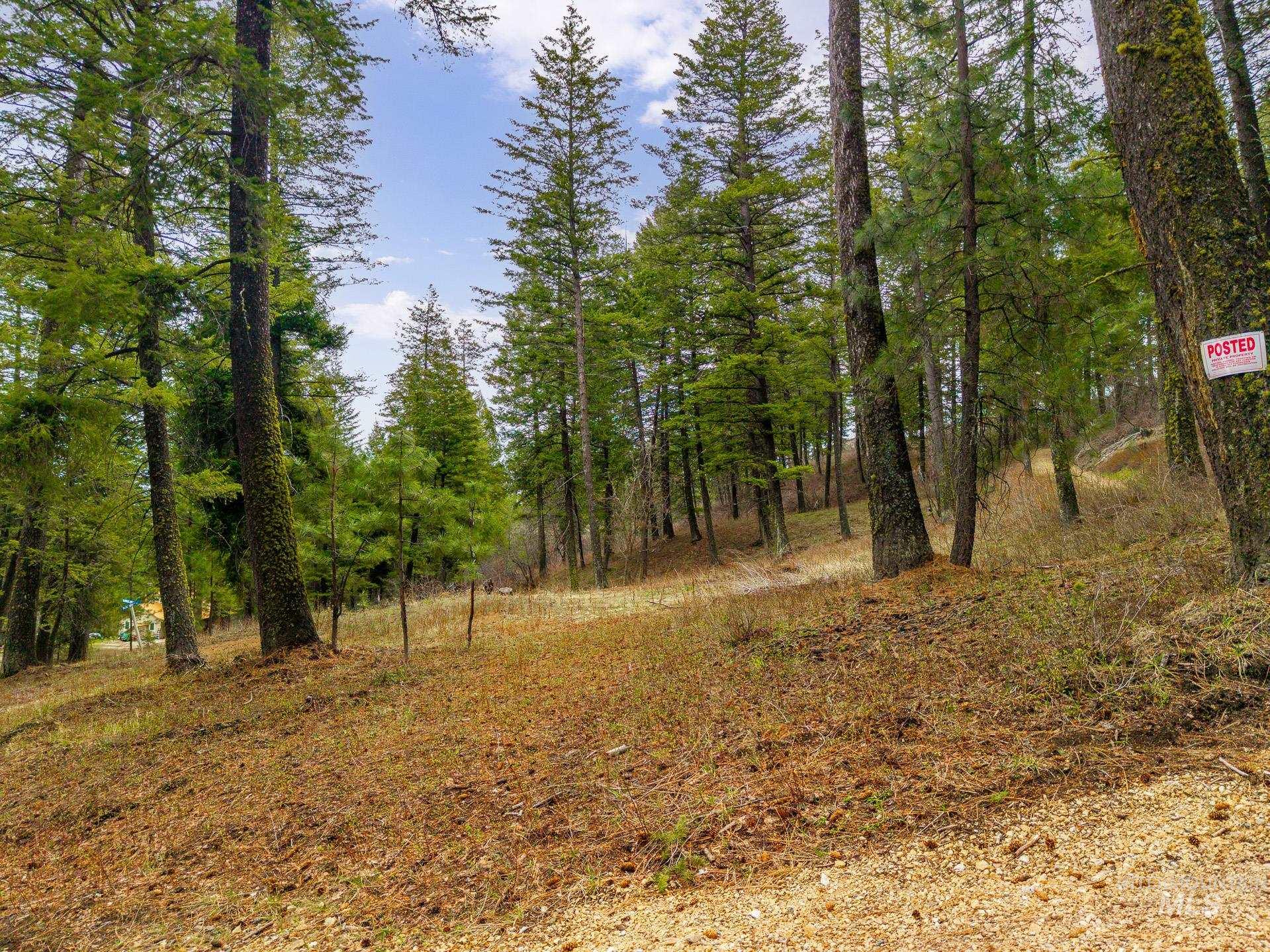 Tbd Bumble Bee Road Boise, ID 83716 - Photo 6 of 17