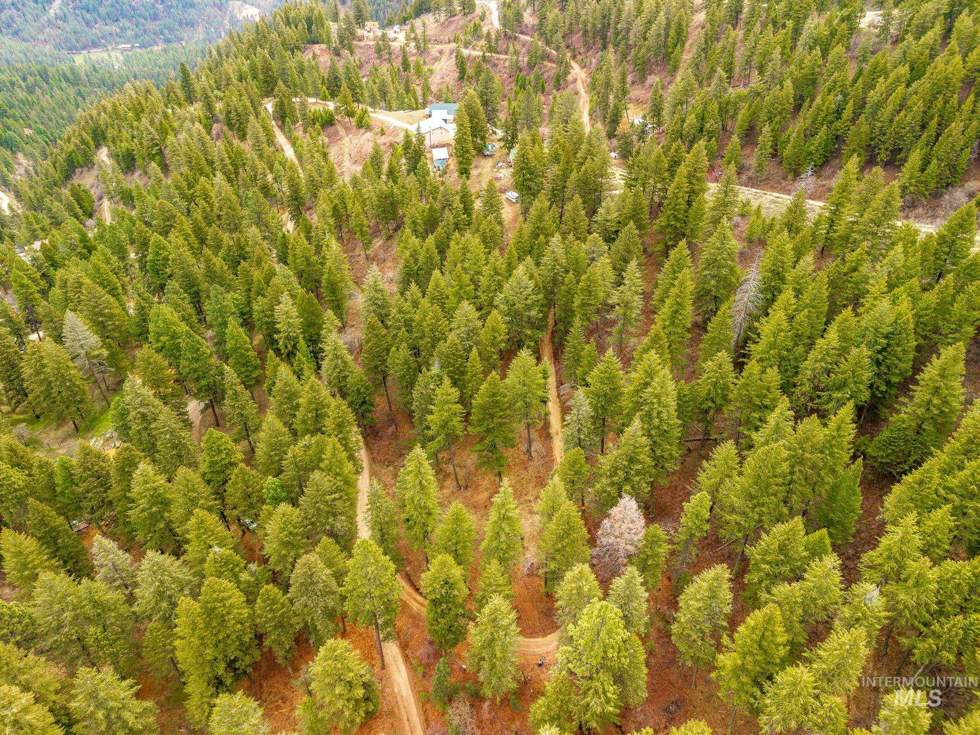 Tbd Bumble Bee Road Boise, ID 83716 - Photo 8 of 17