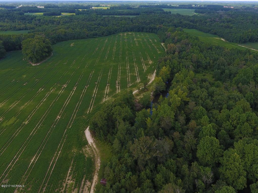 128.25 Ac Off Alton Road Lucama, NC 27851 - Photo 19 of 48 15 (1024x768)