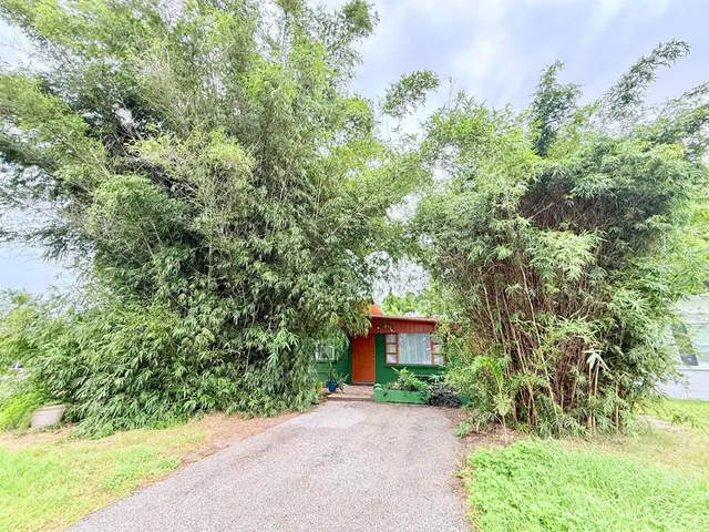 a couple of potted plants in front of a house
