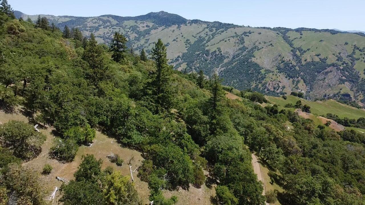 74900 Island Mountain Road Garberville, CA 95542 - Photo 10 of 37