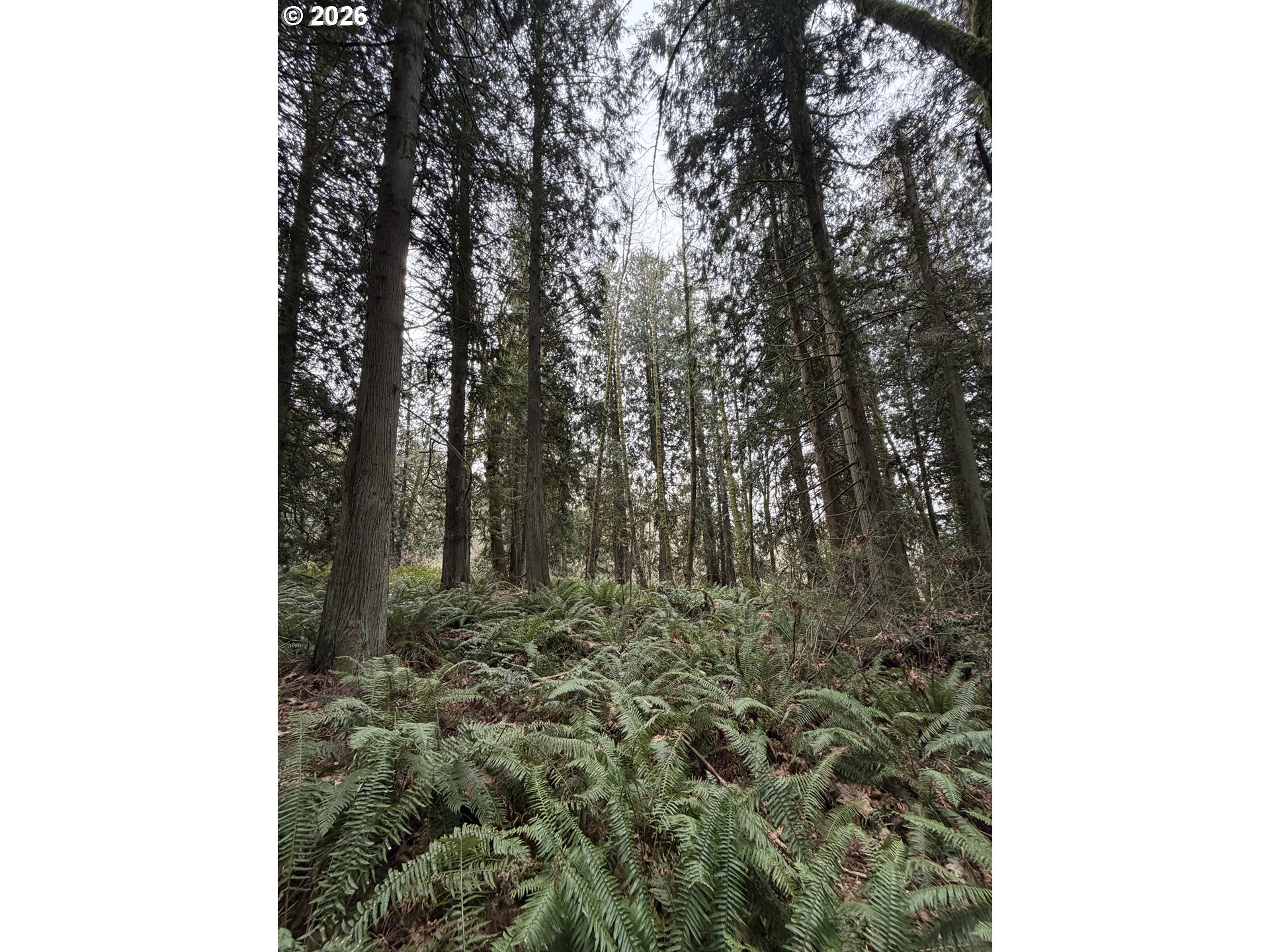 Meserve Road Rainier, OR 97048 - Photo 8 of 16