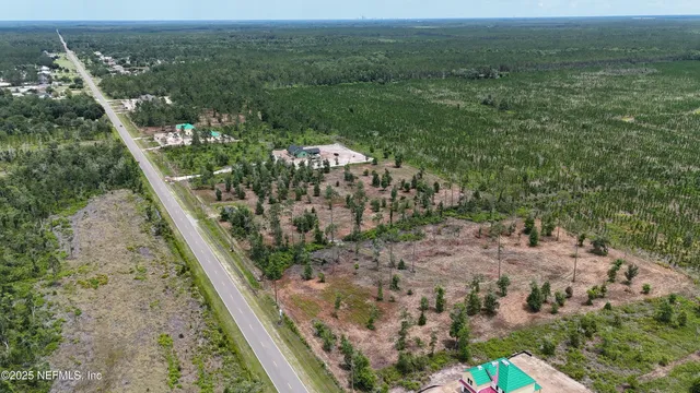 a view of a yard with plants
