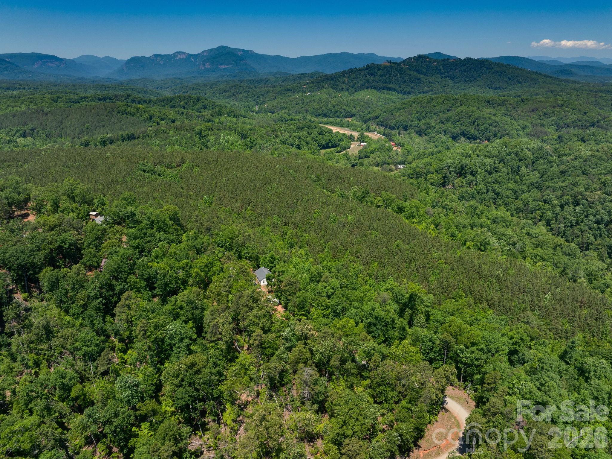 419 Travelers Rest Lane Rutherfordton, NC 28139 - Photo 29 of 35