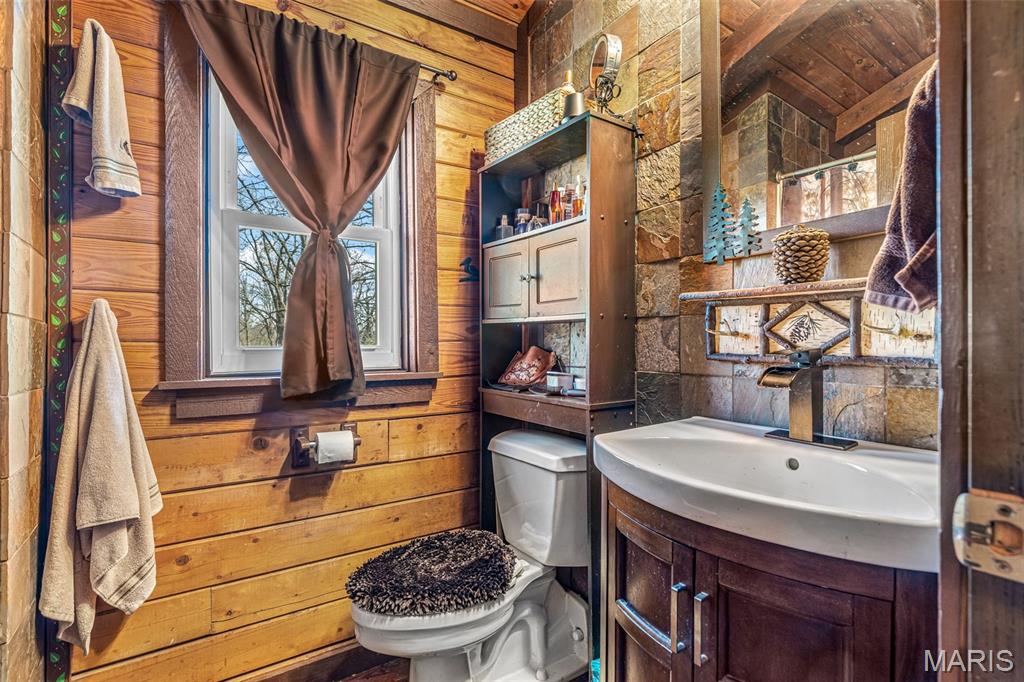 1823 Rue Vaneau Bonne Terre, MO 63628 - Photo 53 of 67