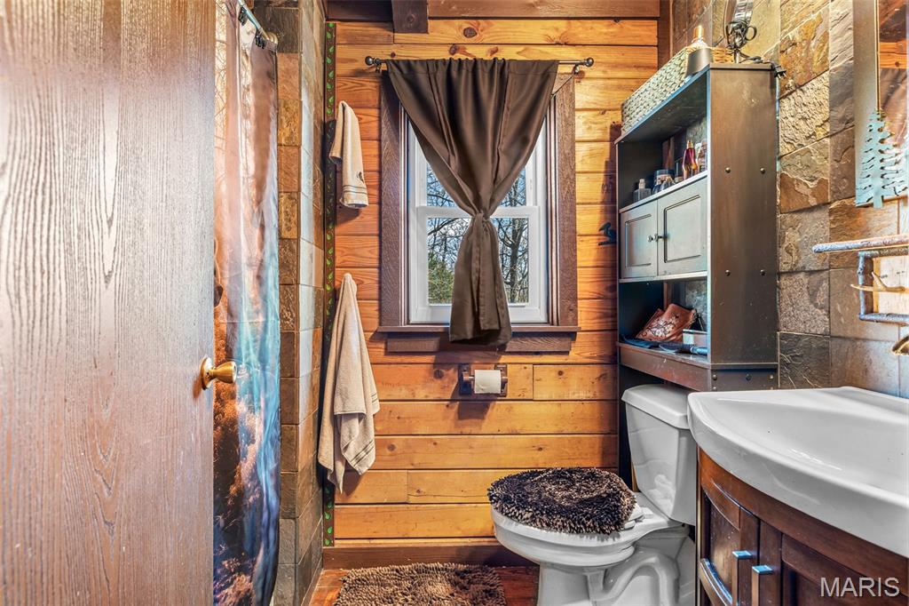 1823 Rue Vaneau Bonne Terre, MO 63628 - Photo 54 of 67