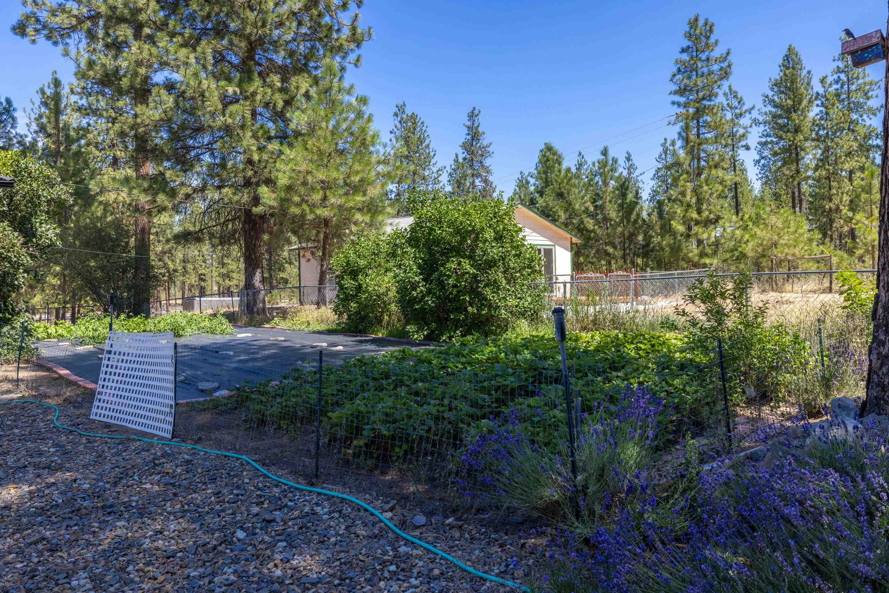 27615 West Long Lake Road Ford, WA 99013 - Photo 36 of 50
