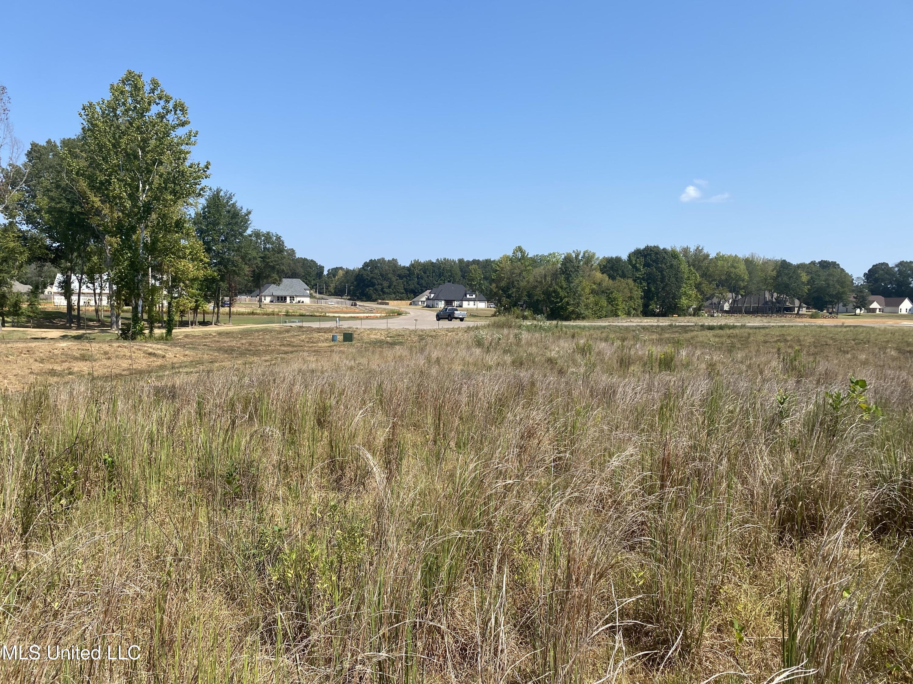 107 Louise Road Byhalia, MS 38611 - Photo 2 of 5 IMG_4074