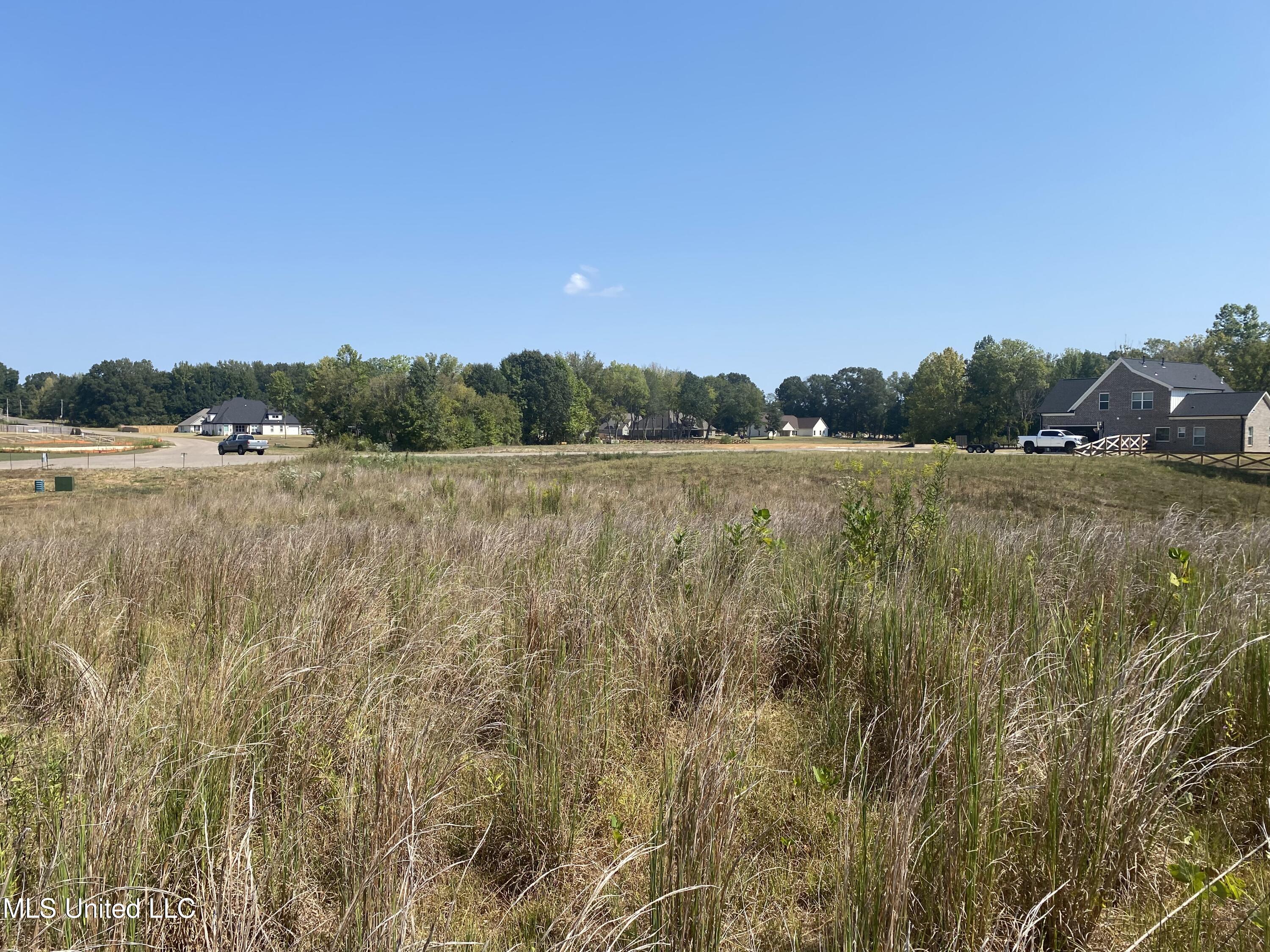 107 Louise Road Byhalia, MS 38611 - Photo 3 of 5 IMG_4075