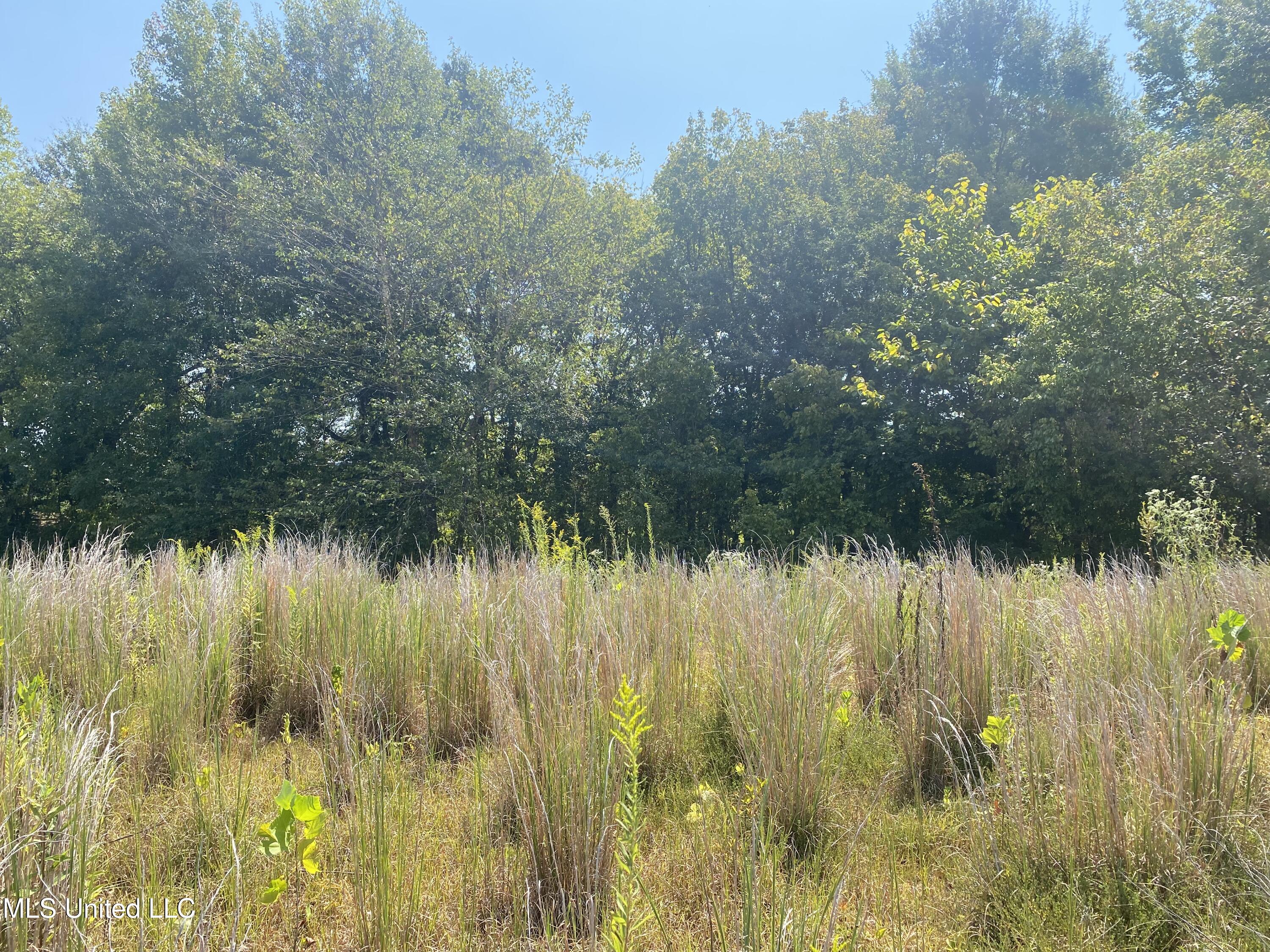 107 Louise Road Byhalia, MS 38611 - Photo 4 of 5 IMG_4076