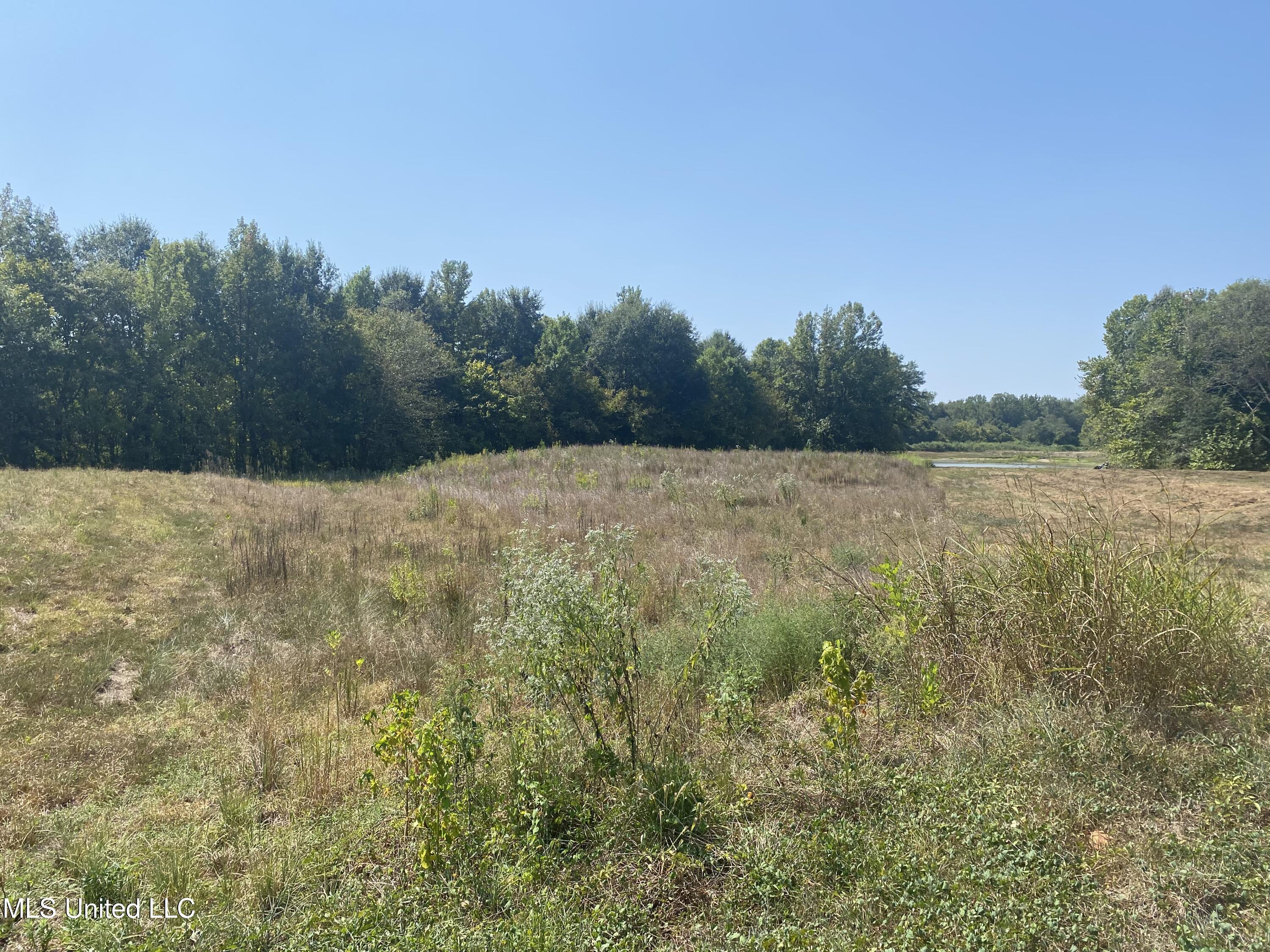 107 Louise Road Byhalia, MS 38611 - Photo 5 of 5 IMG_4077