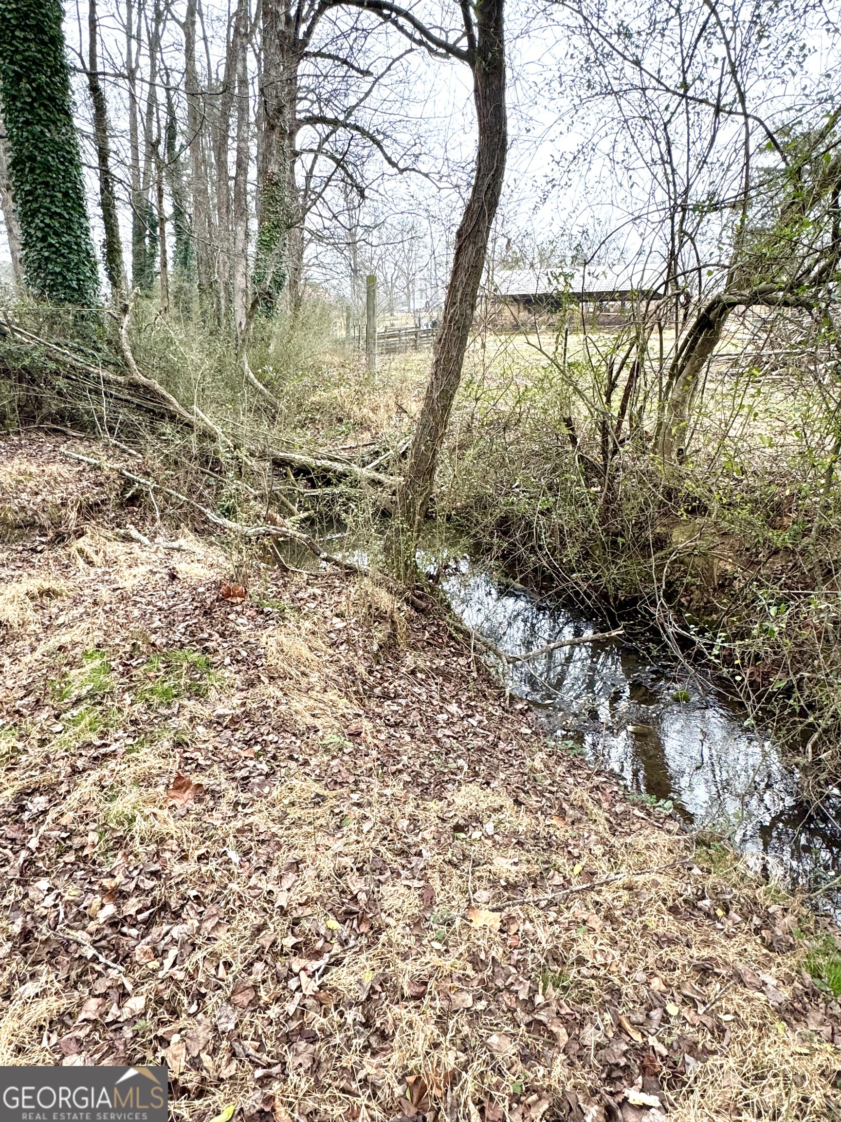 316 Bar Rod Road Demorest, GA 30535 - Photo 3 of 29