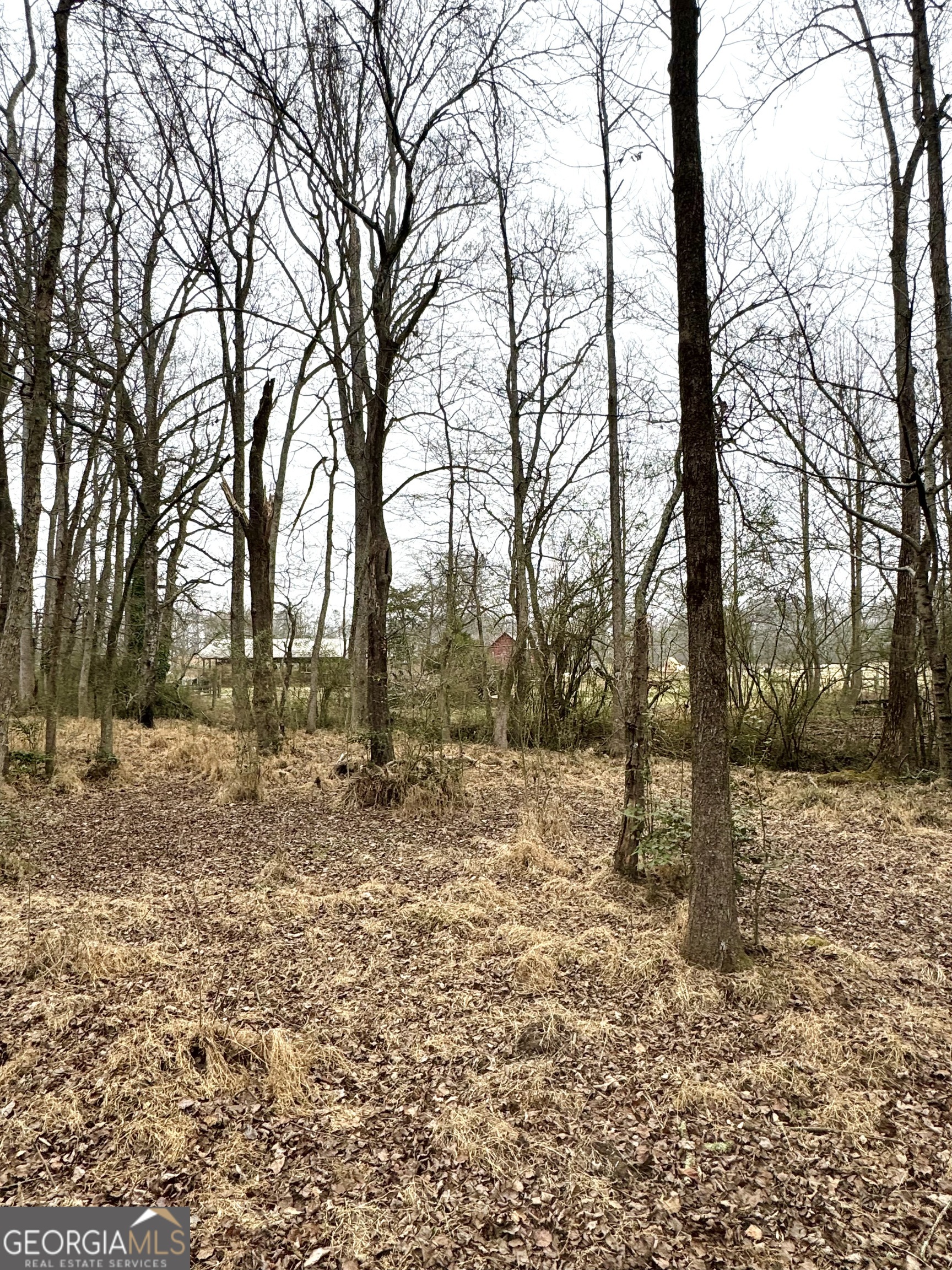 316 Bar Rod Road Demorest, GA 30535 - Photo 7 of 29