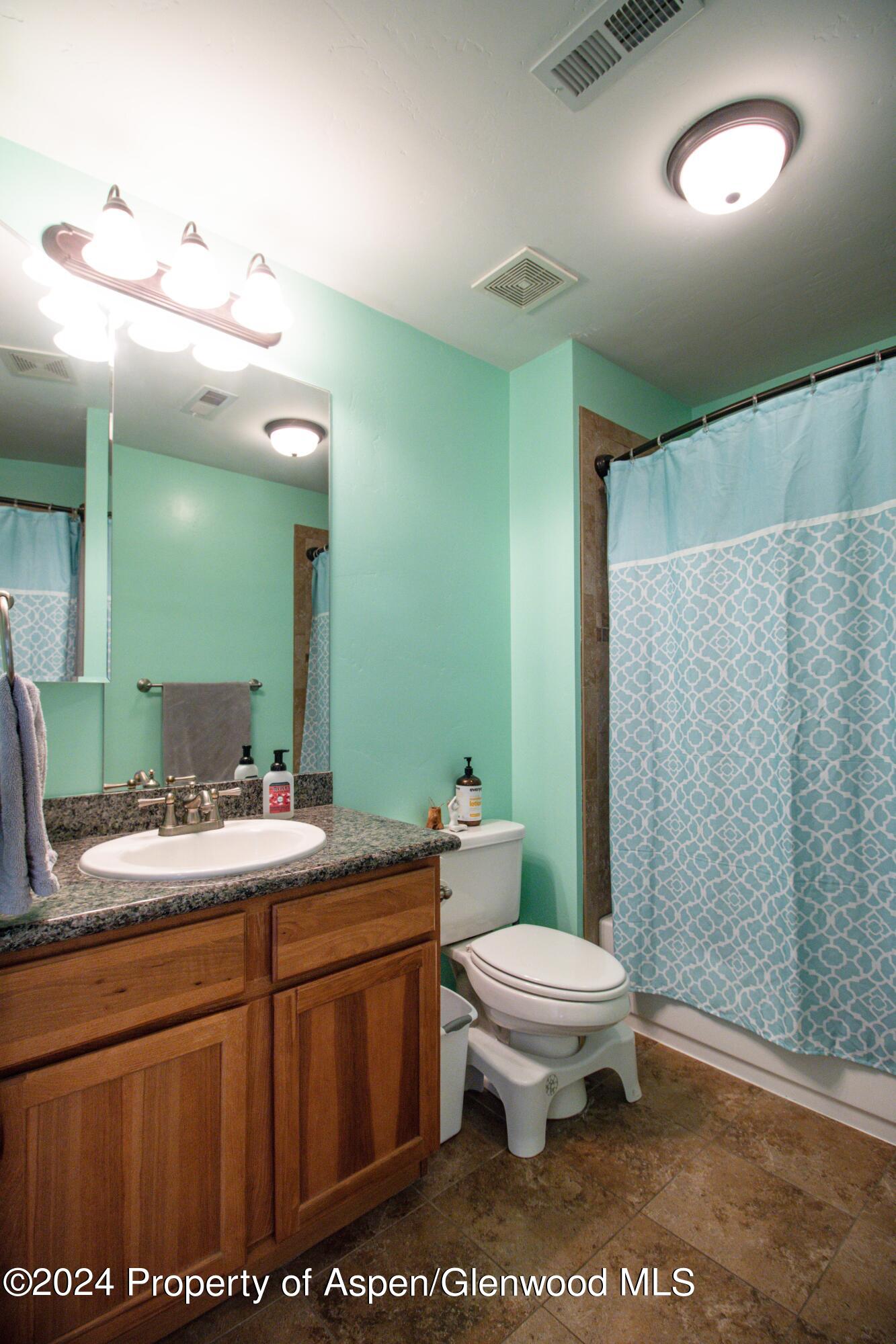 644 Alder Ridge Lane New Castle, CO 81647 - Photo 11 of 19 bathroom 2