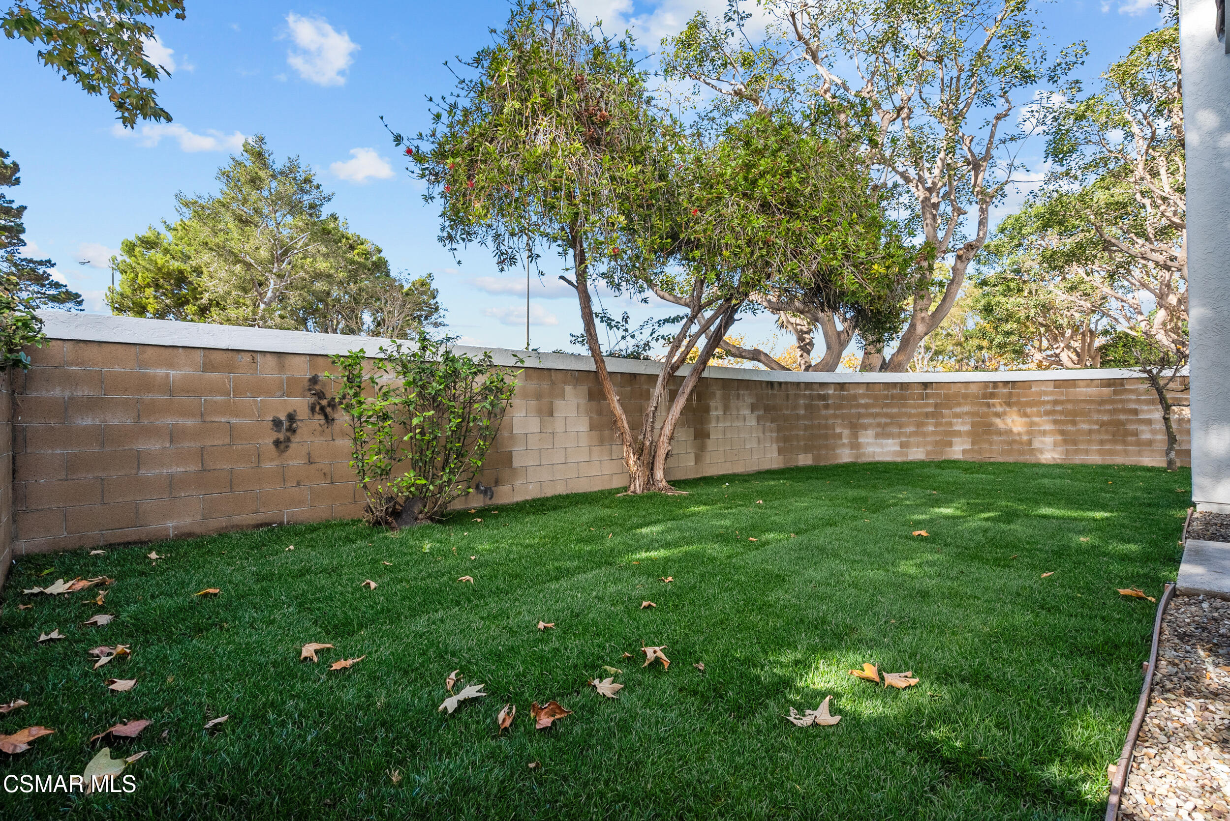 201 Village Road Port Hueneme, CA 93041 - Photo 17 of 21 a view of garden with an tree