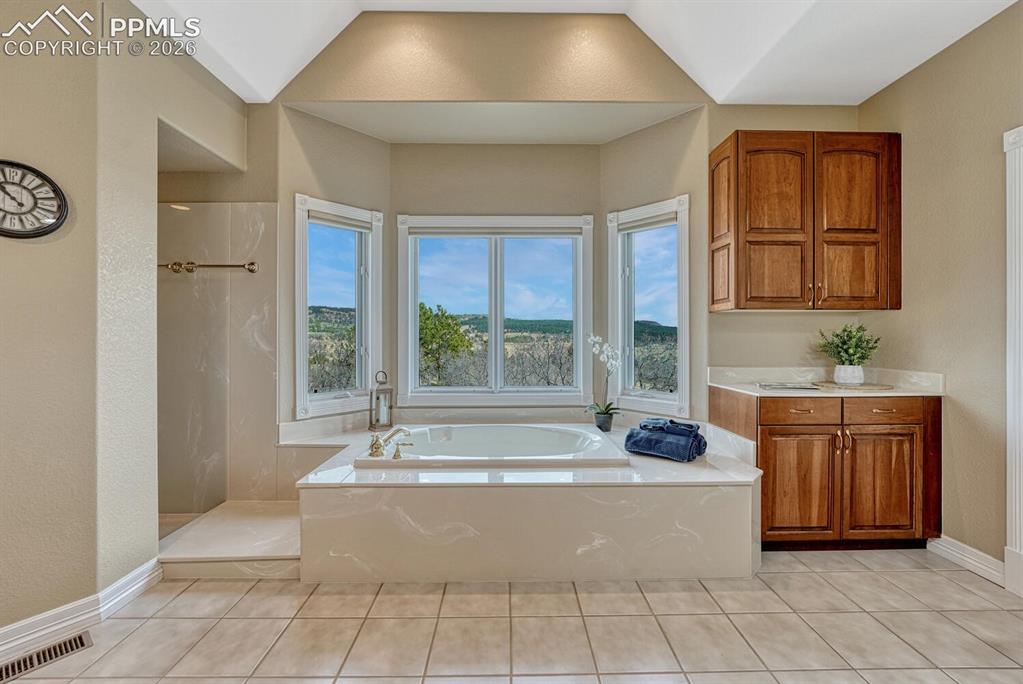 620 Forest View Way Monument, CO 80132 - Photo 22 of 48