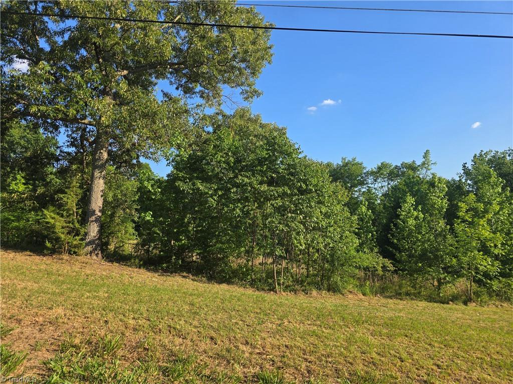 217 Cedar Ridge Road Randleman, NC 27317 - Photo 3 of 18 Homestead, Mini-Farm, Gardening and so much more!