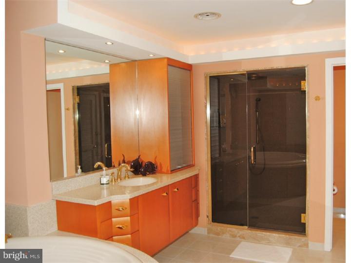 66 Cradle Rock Road Princeton, NJ 08540 - Photo 16 of 25 Master Bathroom