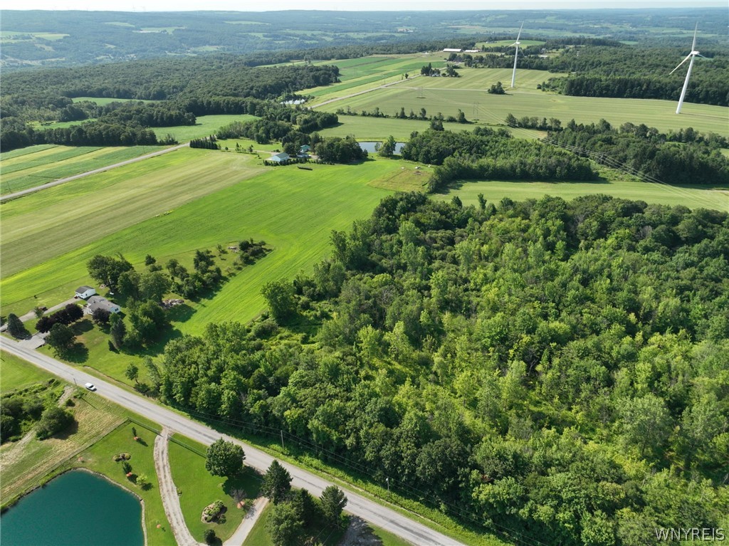 Thomas Road Varysburg, NY 14167 - Photo 21 of 21