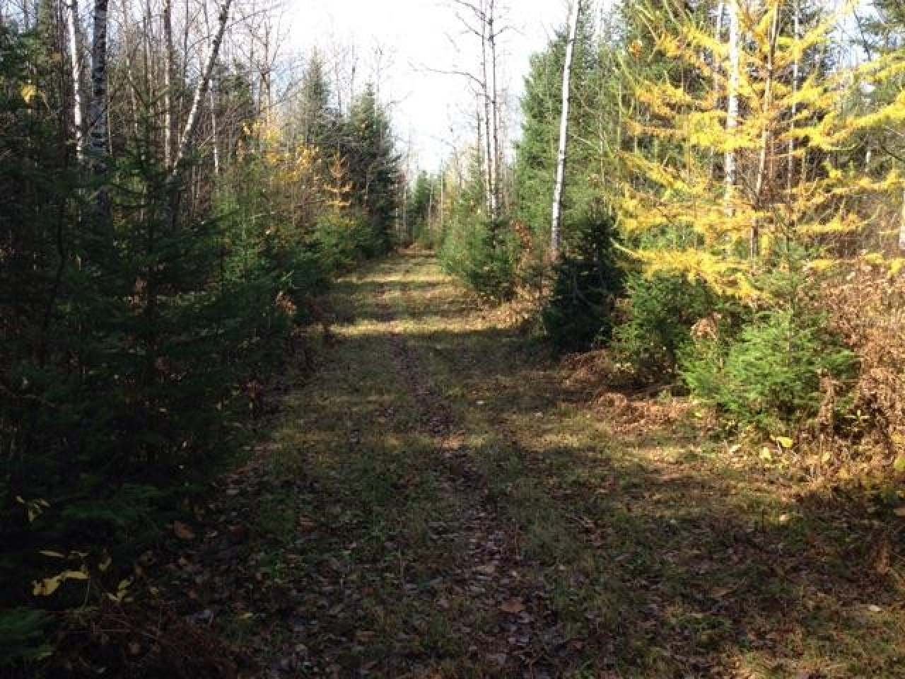 N12061 Old 13 Road Fifield, WI 54524 - Photo 24 of 35 Gallery Image 24