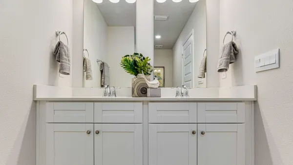 a bathroom with a sink a potted plant and a mirror