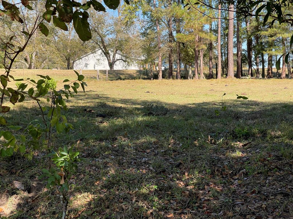 0 Ozell Road Boston, GA 31626 - Photo 25 of 46 Gallery Image 25