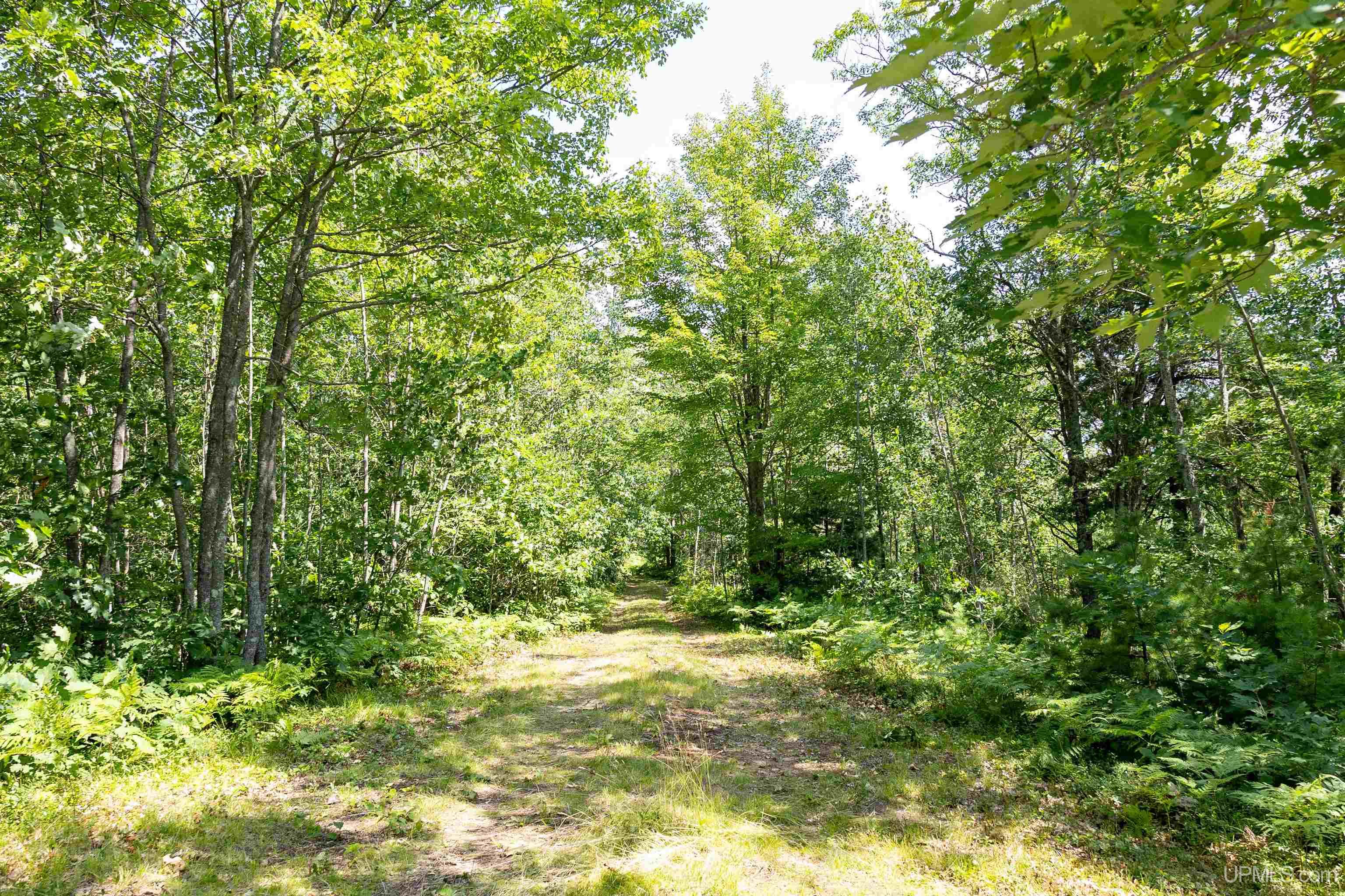 Tbd Co Rd Ff Road Republic, MI 49879 - Photo 31 of 33