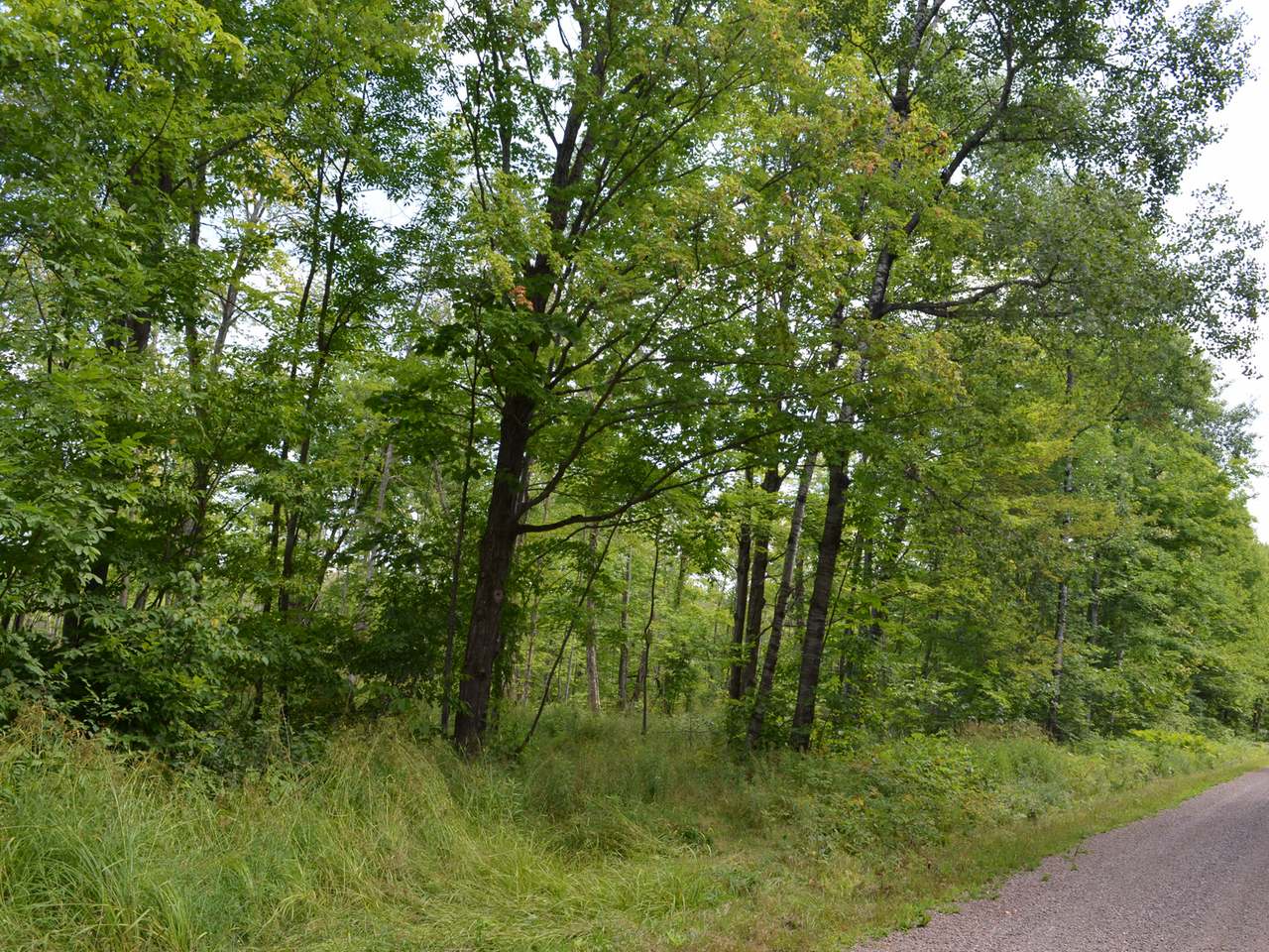 Four Mile Road Tomahawk, WI 54487 - Photo 20 of 20 Gallery Image 20