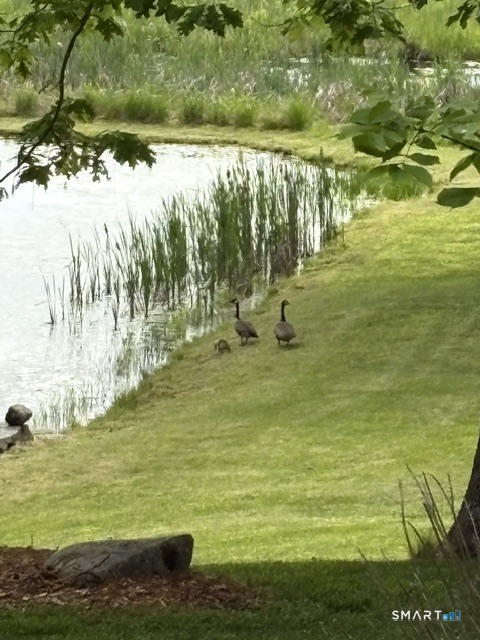 102 Drown Road Pomfret, CT 06259 - Photo 5 of 16