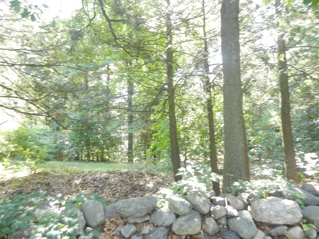 Lot 1 Concord Road Marlborough, MA 01752 - Photo 1 of 4 a view of a forest with trees