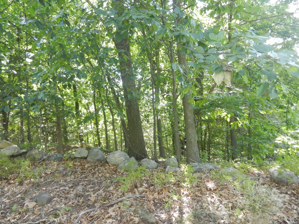 Lot 1 Concord Road Marlborough, MA 01752 - Photo 3 of 4 a view of outdoor space and trees