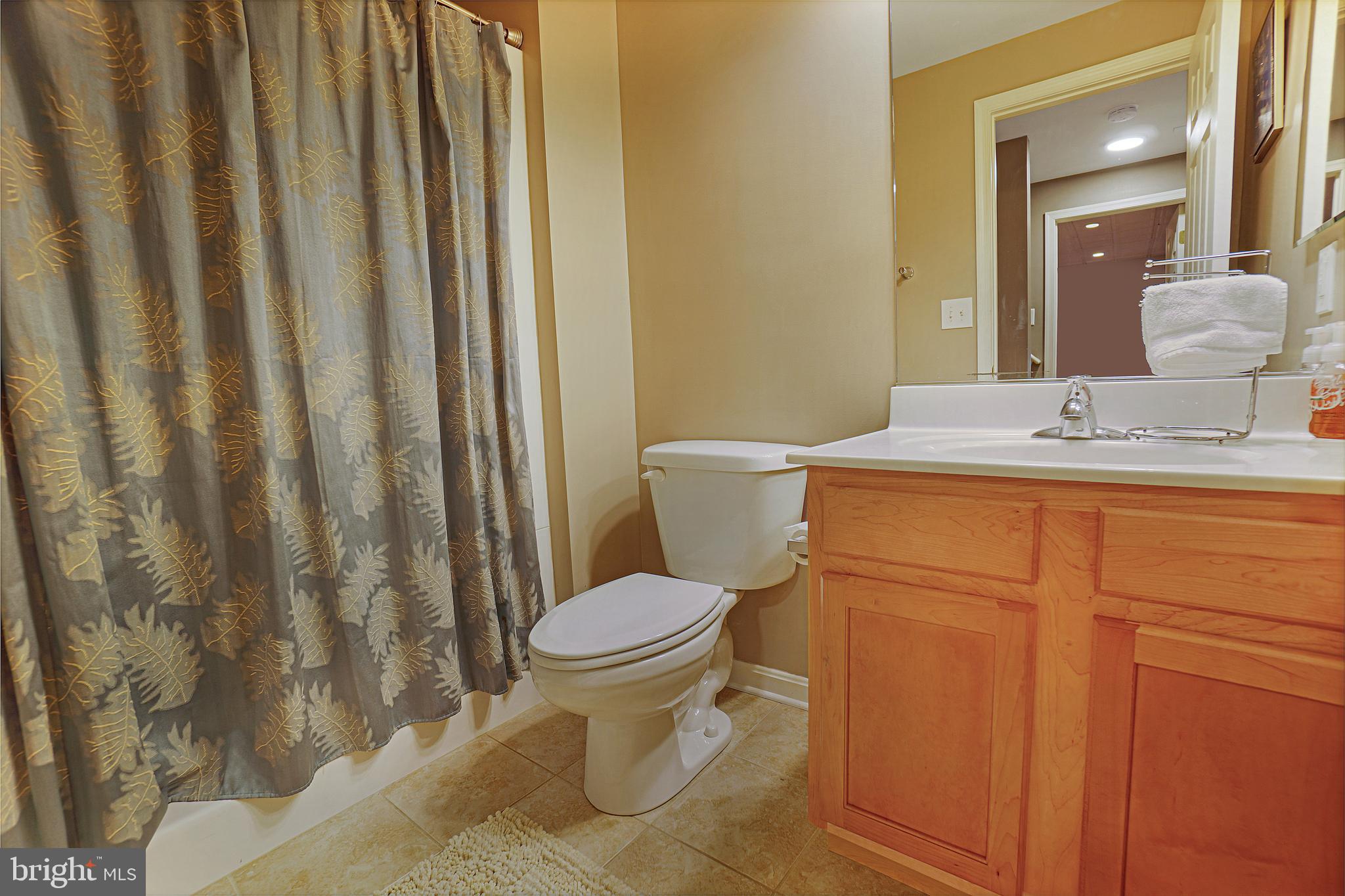 5985 Florey Road Hanover, MD 21076 - Photo 55 of 59 Full Bath in Basement